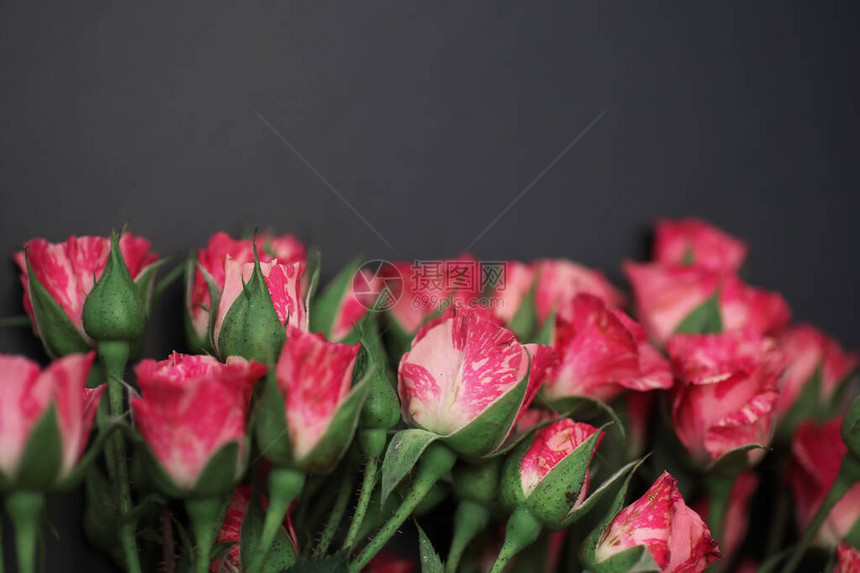 黑色哑光背景上的红玫瑰花束图片