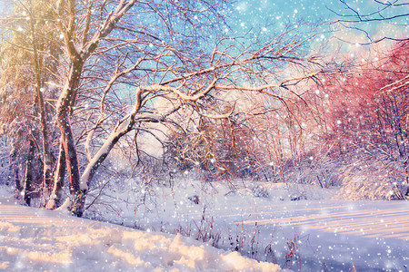 德国美丽的冬季风光美丽的冬季景观与白图片