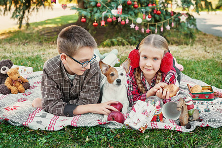 儿童男孩和女孩带着一只狗杰克罗素梗在圣诞树旁带着礼物图片