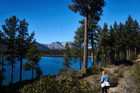 Tahoe湖附近一条山道上图片