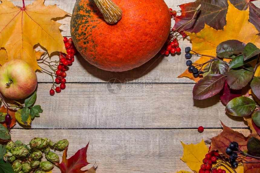 万圣节请吃橙色南瓜秋天的落叶和浆果框图片
