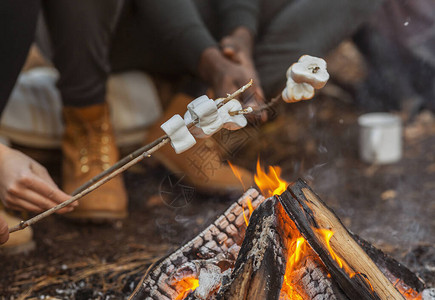 露营和野餐概念关闭在森林中烧棉图片