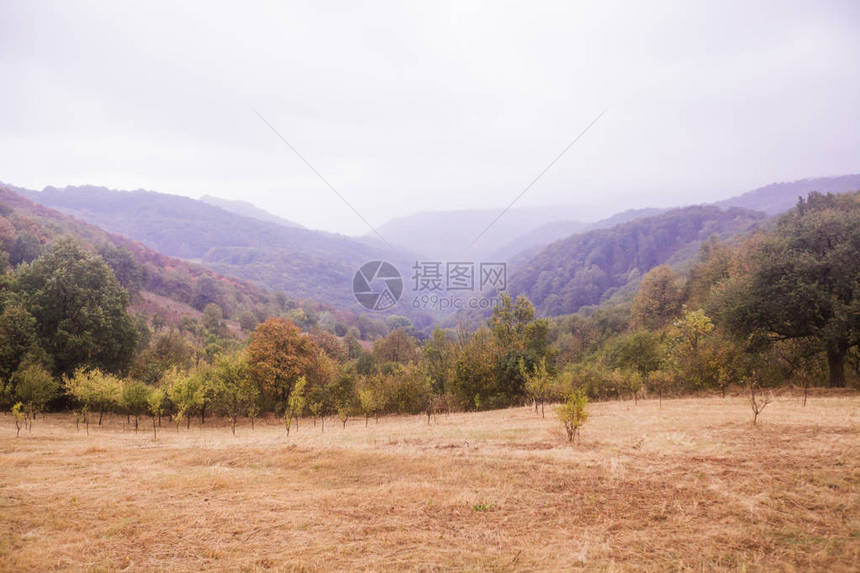 农村领域景观风景朦胧的秋日图片