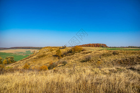 乌克兰秋日的绿色田野图片