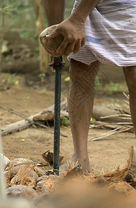 剥椰子的椰子剥皮机的特写视图图片
