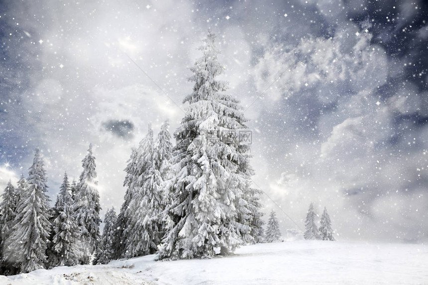神奇的圣诞卡有童话故事冬图片