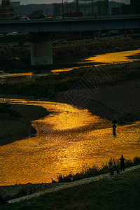 多摩川映照的黄昏图片