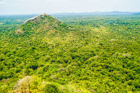 从Sigiriya岩石顶高清图片