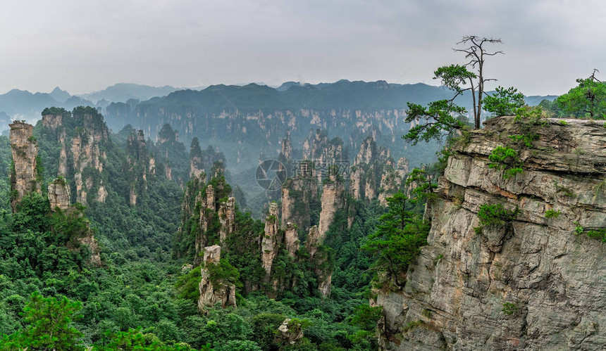 湖南省伍林源Wwlingyuan著名旅游景点张家江公园天津山图片