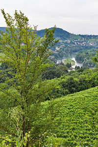 斯洛文尼亚塞莱斯特里纳市Maribor附近德拉瓦背景图片