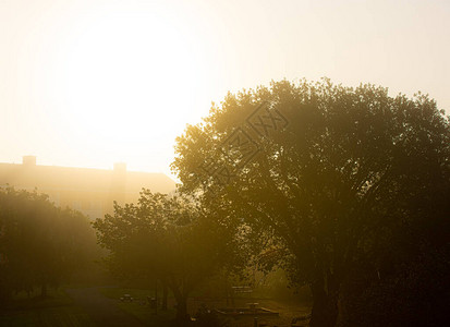 阳光照耀的浓密晨雾笼图片