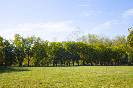 南部公园的绿色草坪和树木图片