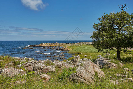 丹麦博恩霍尔姆岛Svaneke村附近的波罗的海沿图片