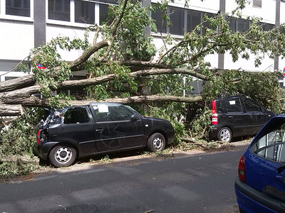 被摧毁的汽车因城市暴风雨毁坏图片