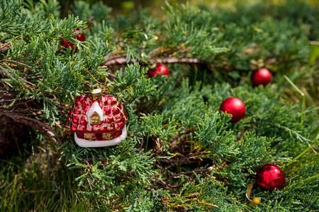 美丽的圣诞节装饰挂在圣诞树上光闪图片