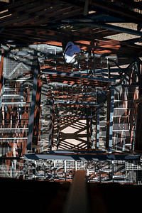 高建筑钢制结构监视图片