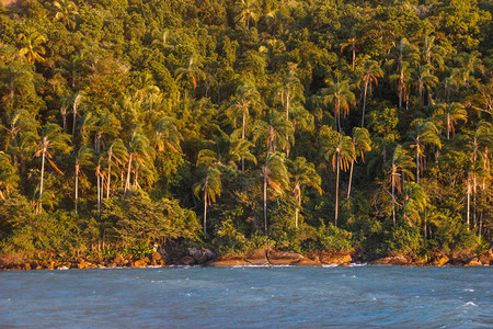 在伊利亚格兰德岛上的巴西海滩景观一座长满热带的山南图片