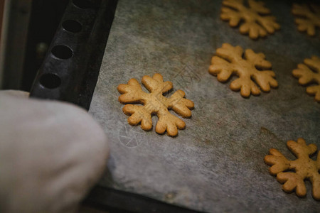 从烤炉手套中以雪花形式图片