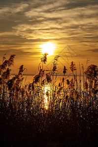 日落时加尔达湖图片