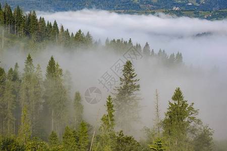 朦胧的风景喀尔巴阡山脉的晨雾日出高图片