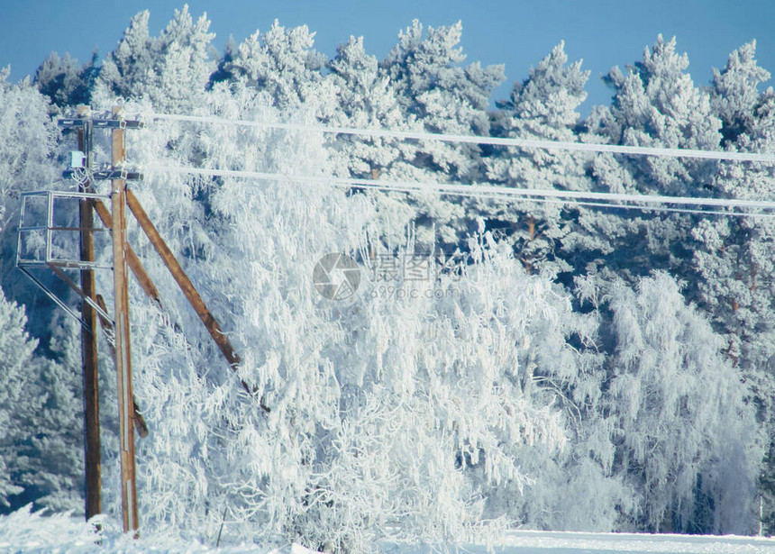 冬季雪林和冰冻的电线背景观和寒冷的质与白雪皑的树木白色的冰景和蓝天圣诞霜冷冻圣诞节户图片
