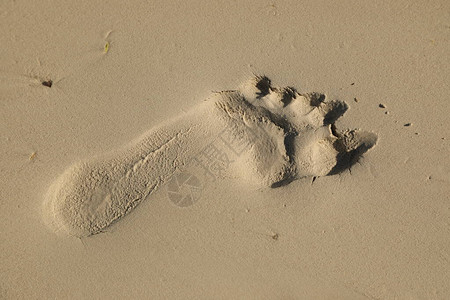 沙中脚印图片
