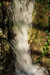 一条带瀑布的小溪的特写镜头图片