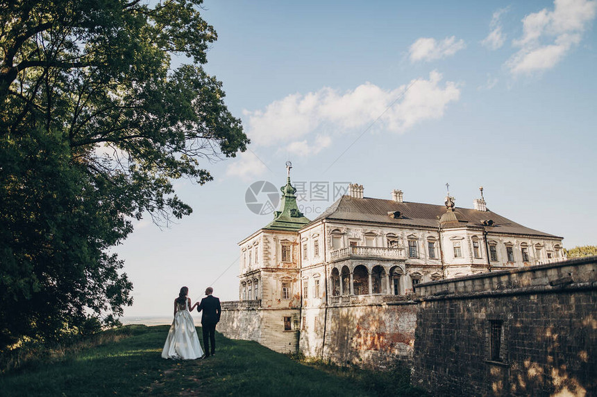 华丽的新婚夫妇在美丽的公园老城堡附近的阳光下散步古建筑与自然背景下的时尚美图片