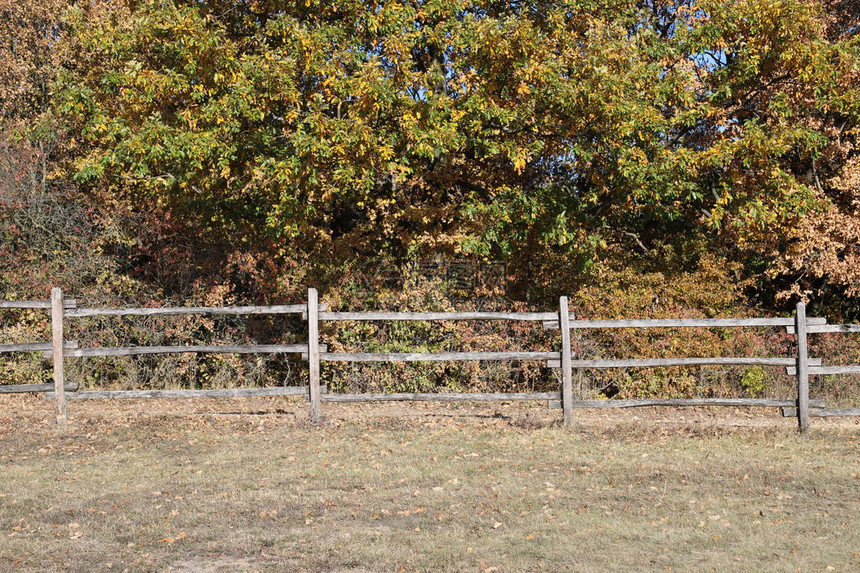 在农村动物农场村的秋天颜色图片