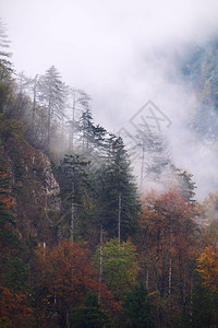 斯洛文尼亚山丘中迷雾秋图片