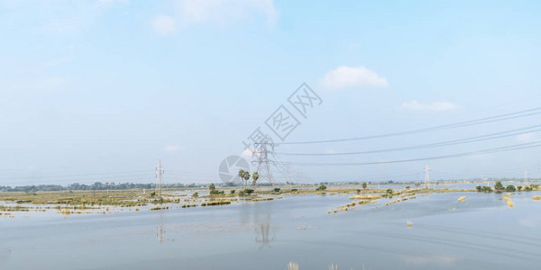 受洪水影响的农田被淹的粮食作物田由于海平面水位上升背景图片