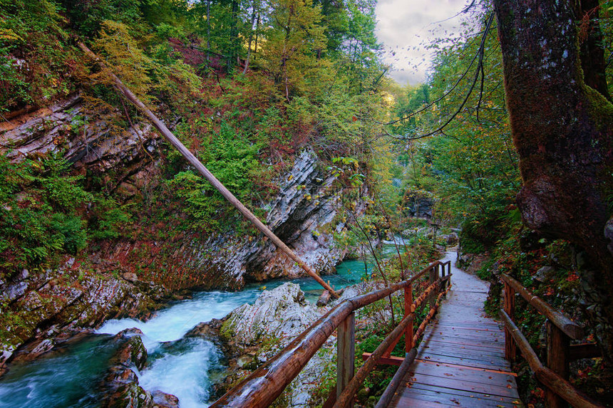 Vintgar峡谷布莱德峡谷与Radovna河风景如画的景色小径穿过峡谷和木桥斯洛文尼亚著名的旅游胜地图片