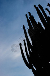 重阳约惠毛笔字在哥伦比亚威拉的Tatacoa沙漠中背景