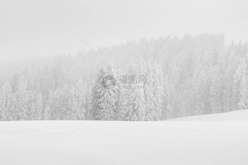 瑞士山脚丘的冬季高干风景图片