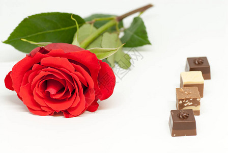 红玫瑰和各种巧克力形状在白色背景情爱情人节的图片