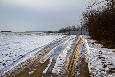 在积雪的田间道路上的道路轨道图片
