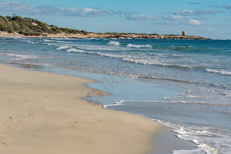 西班牙Ibiza和Formentera的SesSalin图片