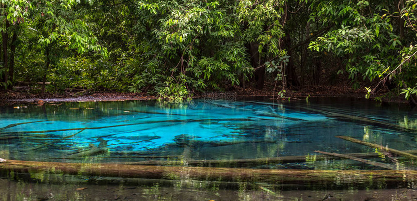 泰国甲米热带雨林SraMorakot的翡翠蓝池清澈湛蓝的海水丛林之旅图片