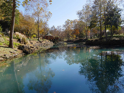 碧绿的泉水倒映着五颜六色的树木图片