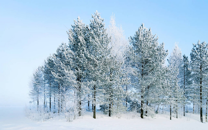 有雪的冬天路在芬兰欧洲拉普兰景观骑行期间沿高速公路的森林白雪皑的旅行冷车道在北罗瓦涅米村的芬兰高速公路上行驶图片