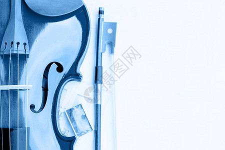 小提琴弓和玫瑰以经典的蓝色刻图片