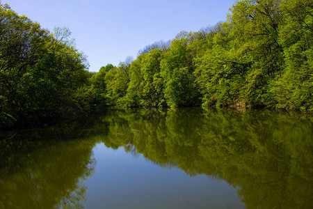 绿林中的湖水图片