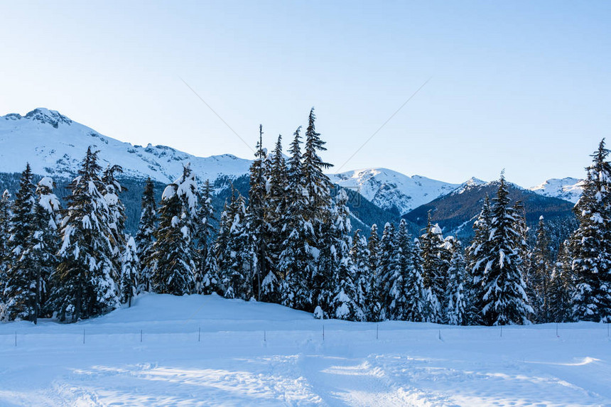 不列颠哥伦比亚Wistler奥运村雪中山区和森图片