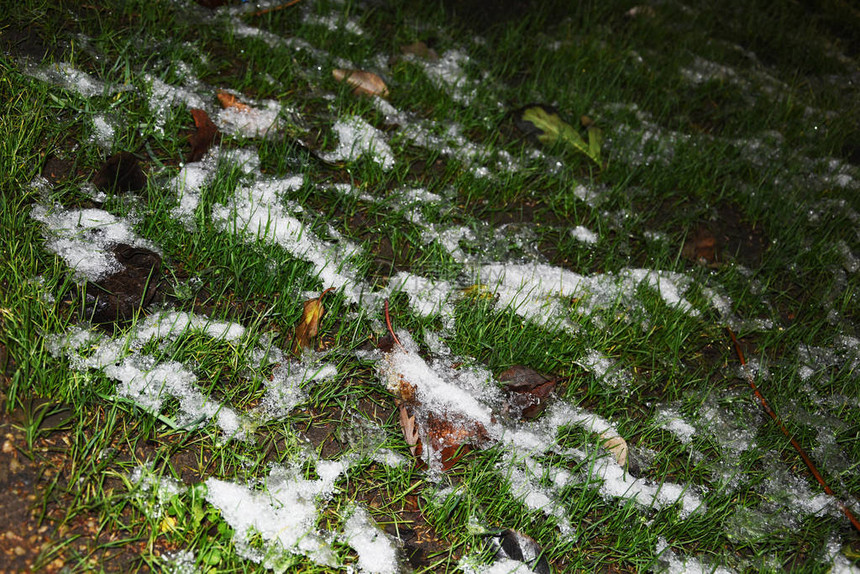 绿草的坪上布满了小雪黑暗和寒冷最后一图片