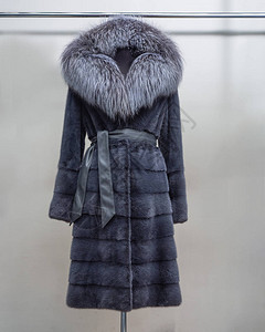 黑色狐狸灰色皮带用于商店目录的图片