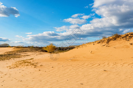 秋季半沙漠子上留下的动物痕迹旅游概念图片