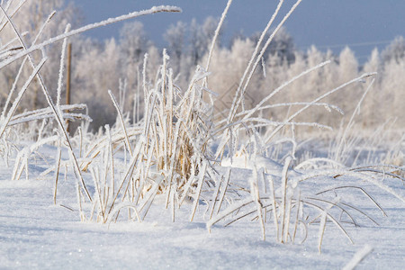 冬季美丽的雪景图片