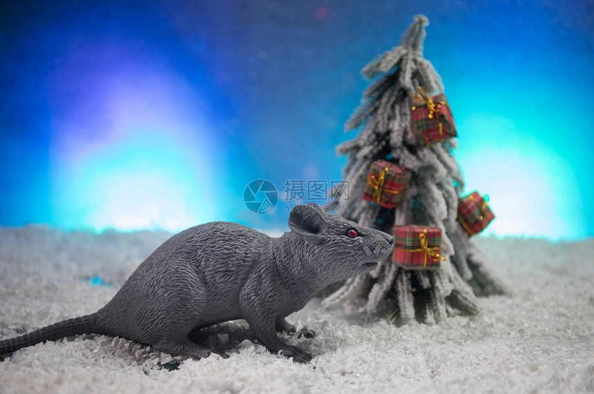 带着圣诞装饰品和圣诞老人的可爱棕色大鼠这只老鼠象征着新