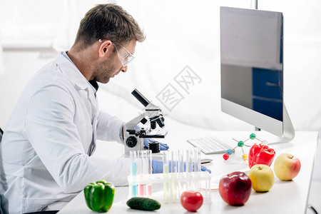 在实验室使用显微镜的分子营养图片
