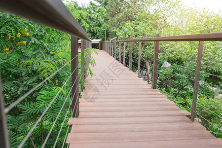森林中的木林桥图片